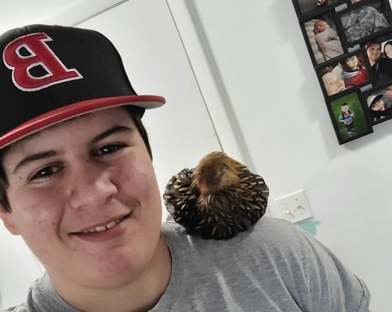 Teenage boy with a chicken perched on his shoulder