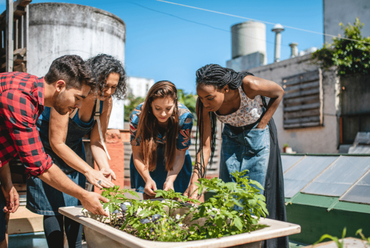 group of young adults planting a garden