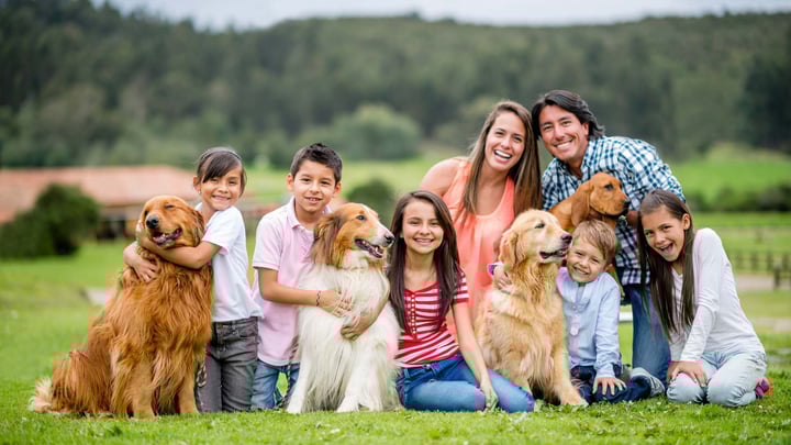 Big family with many pet dogs