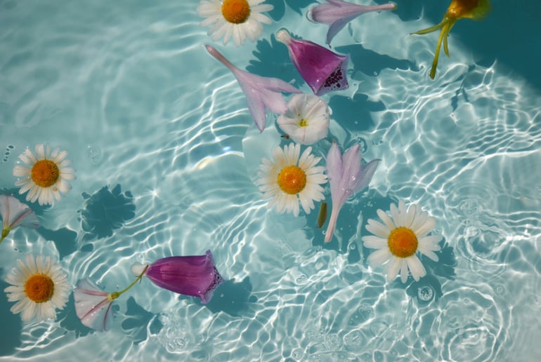 Flowers floating on ocean water
