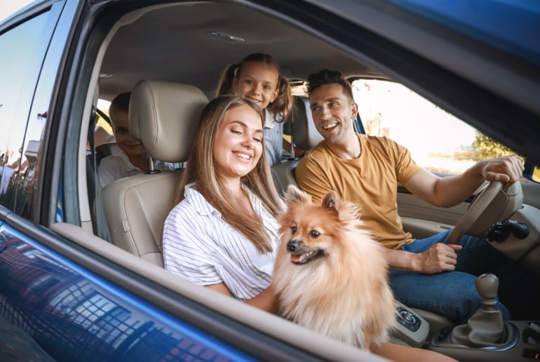 Family in the car with a dog