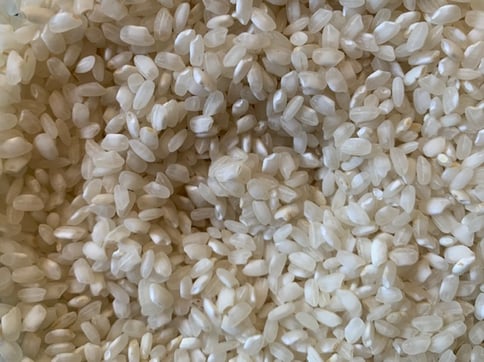 grains of short grained round rice or Arroz Bomba from Spain