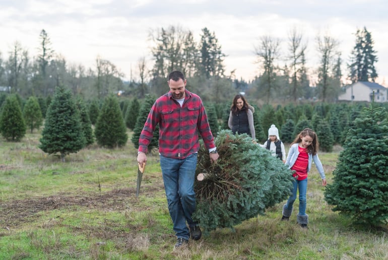Family picking out a Christmas tree