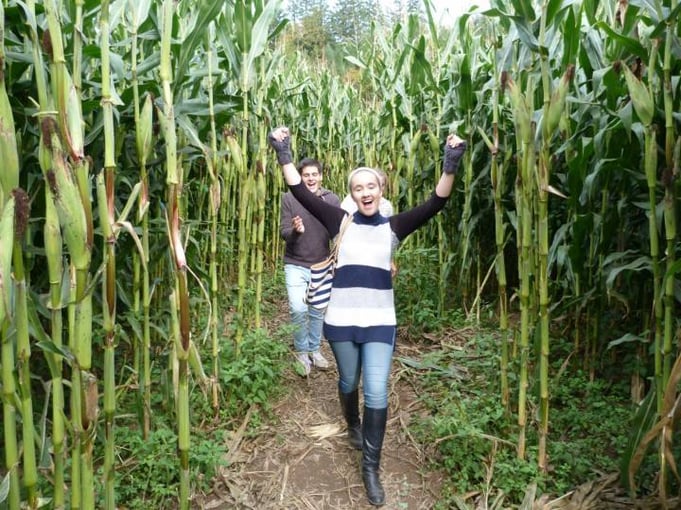 two teens walking through corn maze