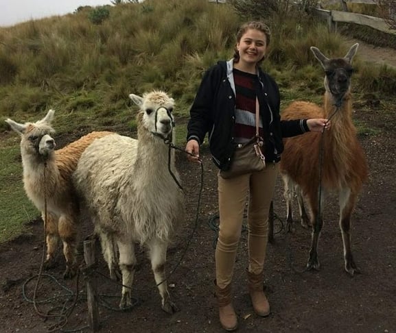 girl with llamas