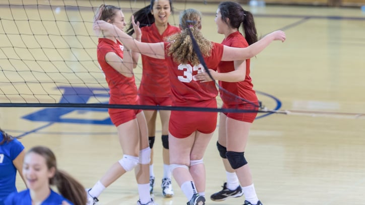 high school volleyball team players