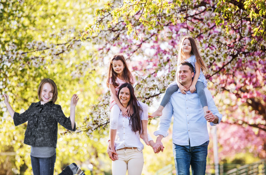 family walking under cherry blossoms