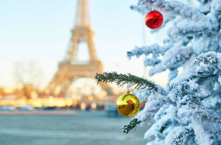 snow-covered tree with Eiffel Tower in background