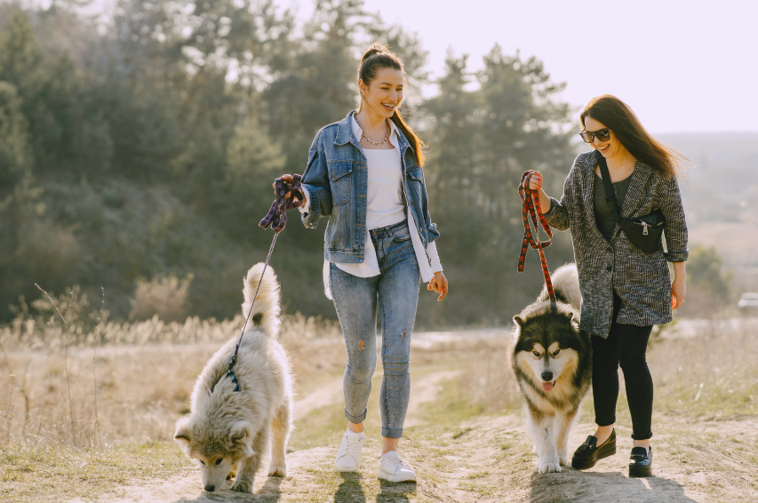 two teen girls walking dogs