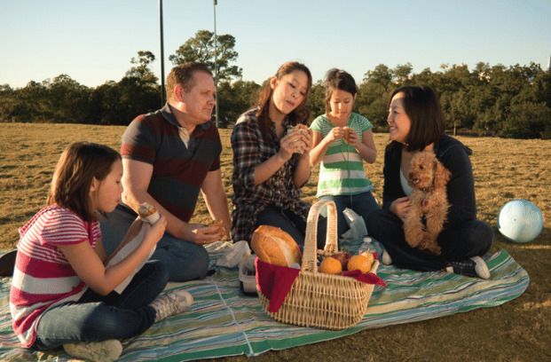 family having a picnic in a field