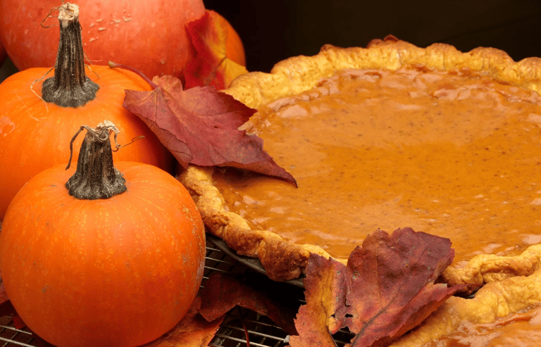pumpkin pie surrounded by small pumpkins