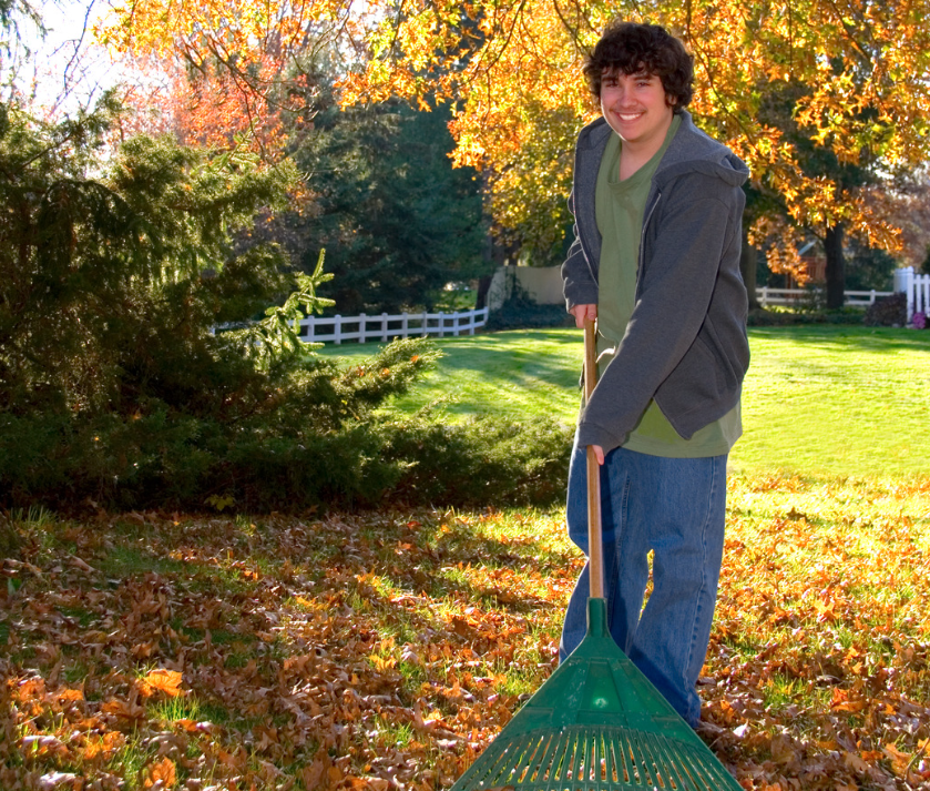teen boy raking leaves
