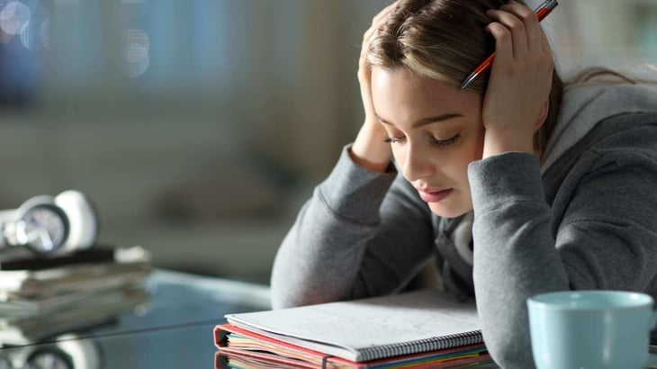 teenage girl studying from notebook