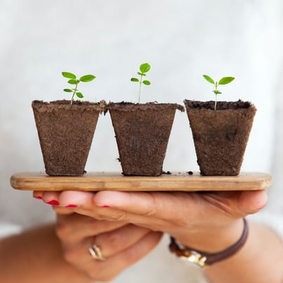 two hands holding wooden board with three ecological plant pots 