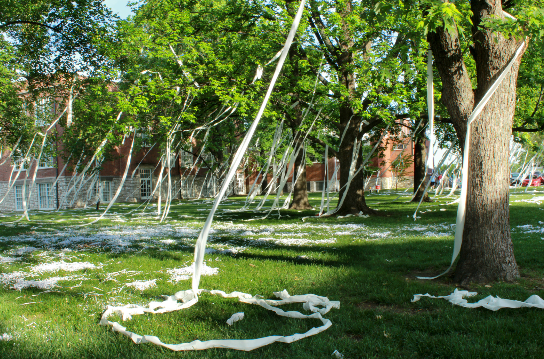 toilet paper hanging from trees 