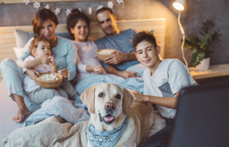 family and dog watching movie
